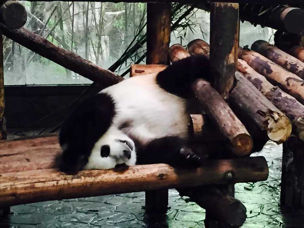 南京熊猫公布国际专利申请：“基于蜂窝网格单元的低空航路风险地图构建方法与系统”