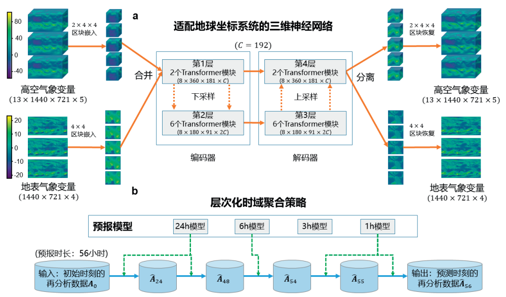中国科研人员开发新型碱基编辑系统助水稻精准改良