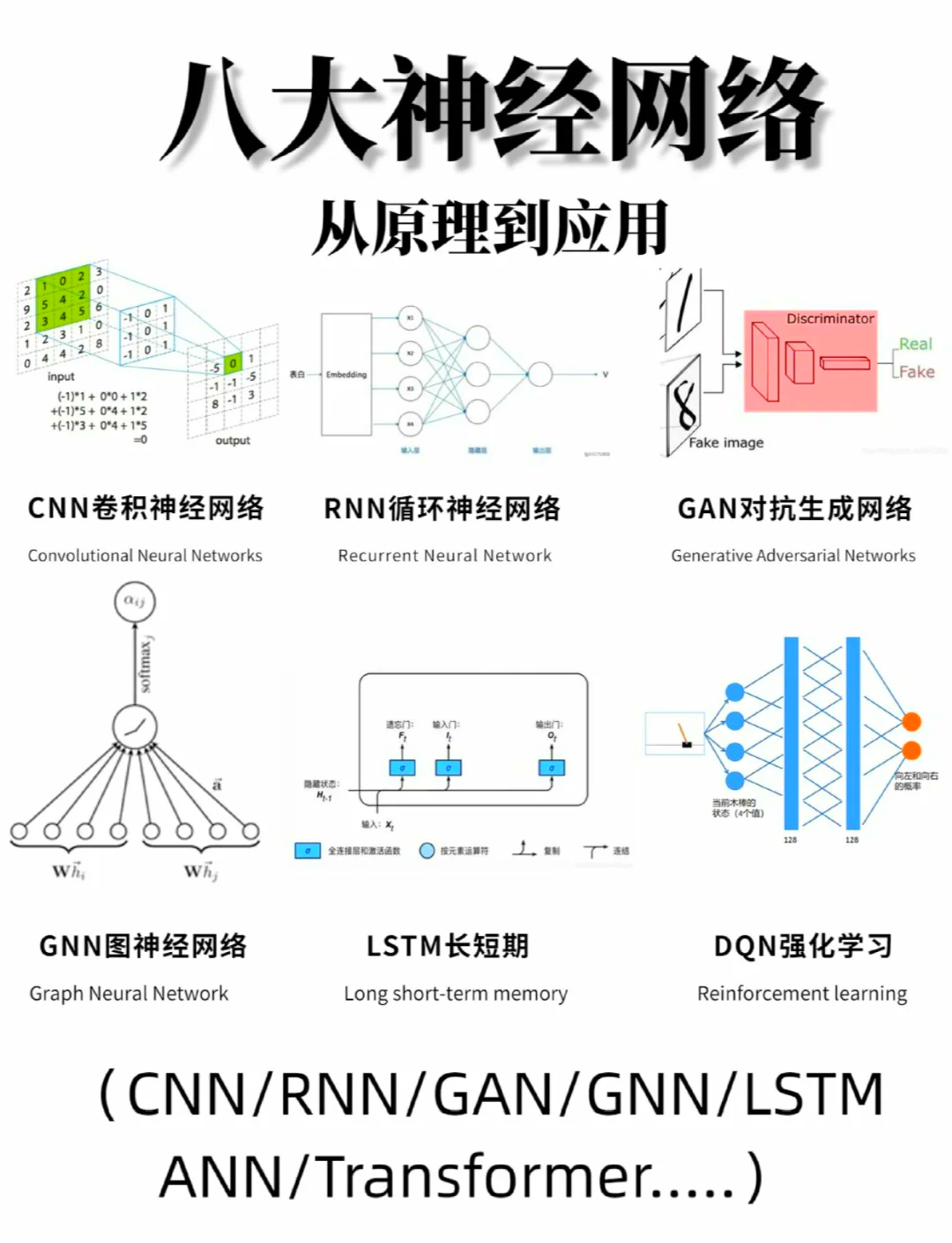 AI算法自动解析脑干白质神经束