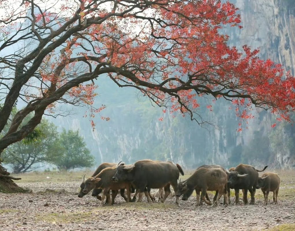 六九一二：截至2026年2月13日，公司股东总户数为12403位