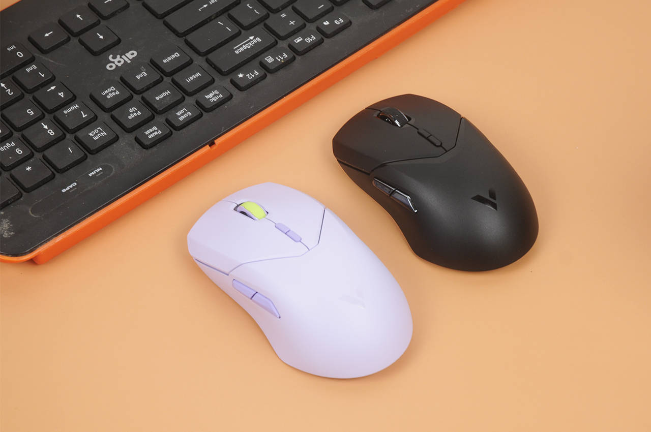 雷柏科技获得外观设计专利授权：“鼠标（0115M&0115L）”