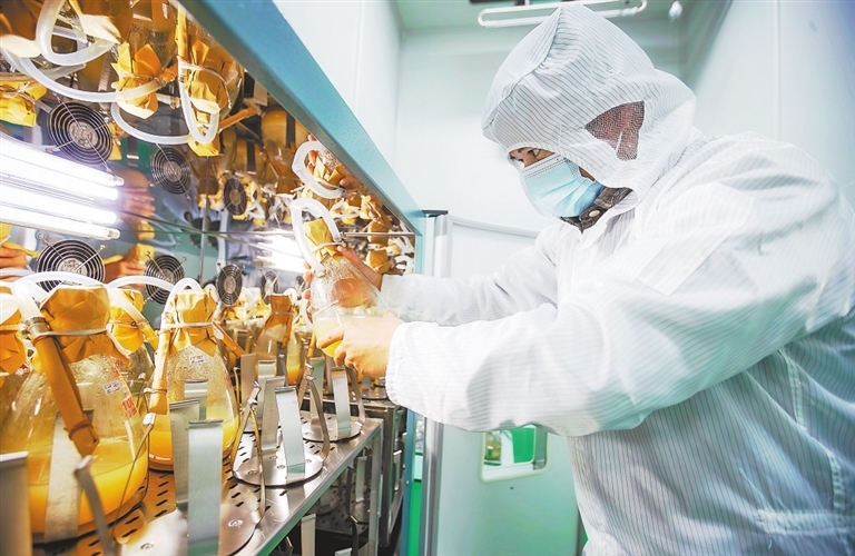 华自科技：公司目前在手订单充足