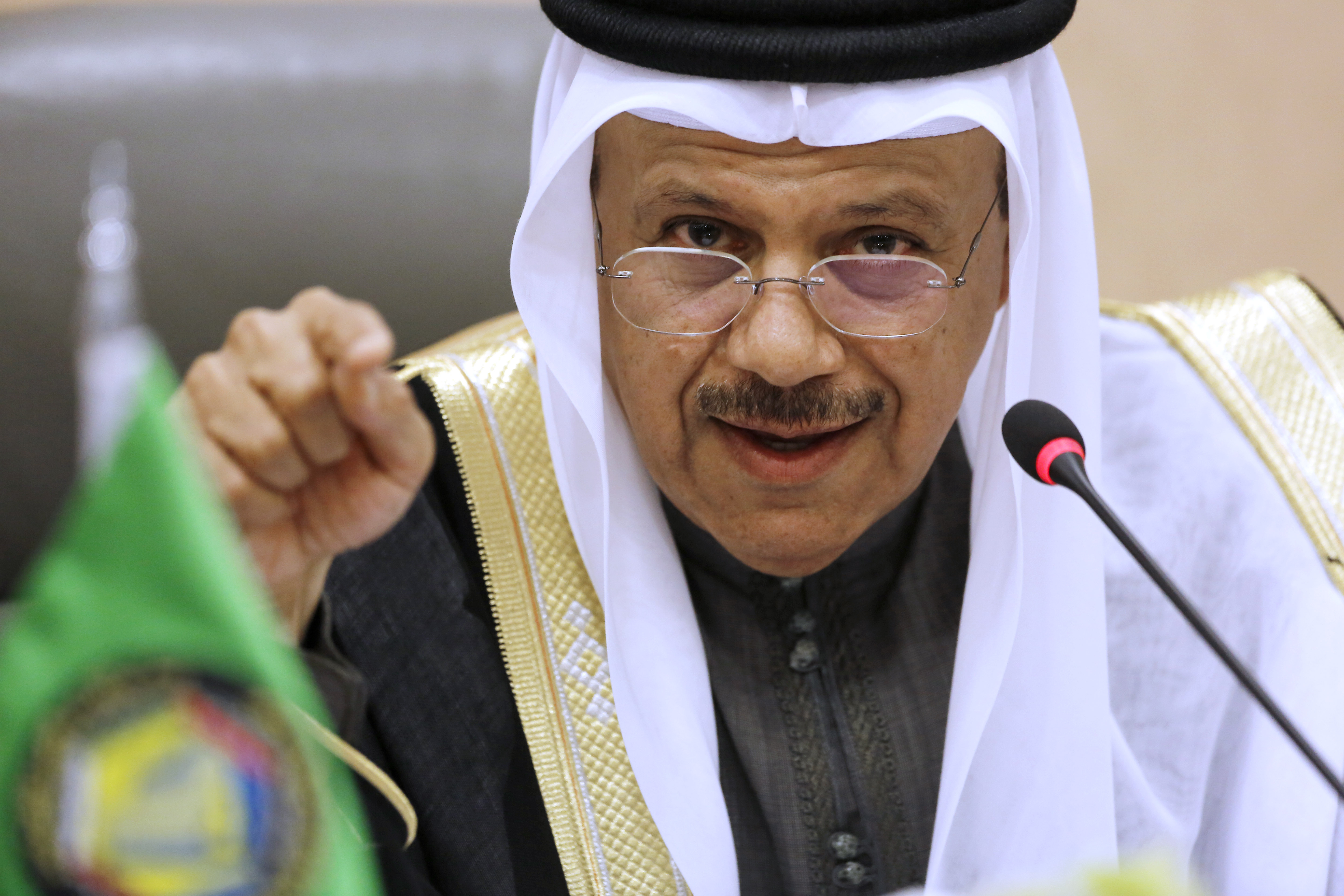 海合会秘书长布达维出席世界政府峰会