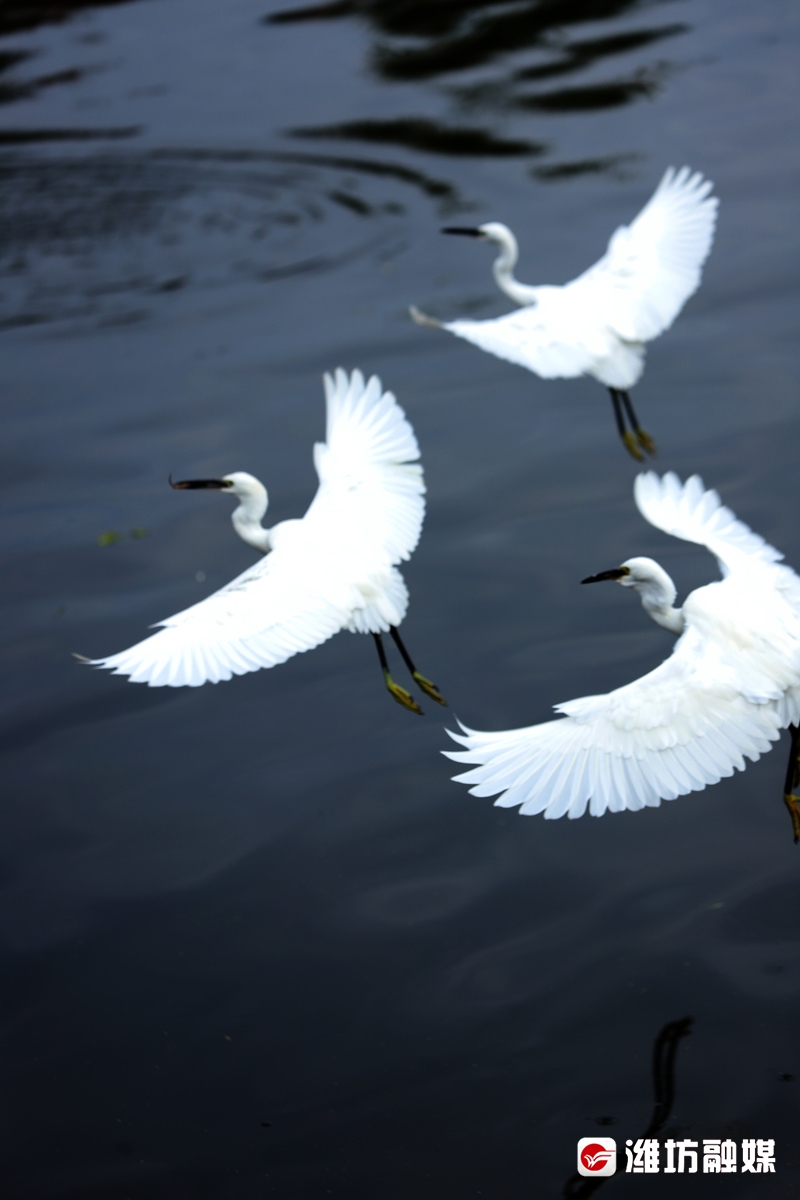 立方风控鸟·晚报（3月5日）