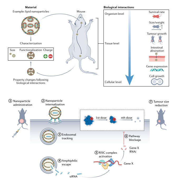 亚辉龙获得发明专利授权：“LHBs的特异性结合蛋白、核酸分子、载体、细胞、检测试剂盒及其制备方法与应用”
