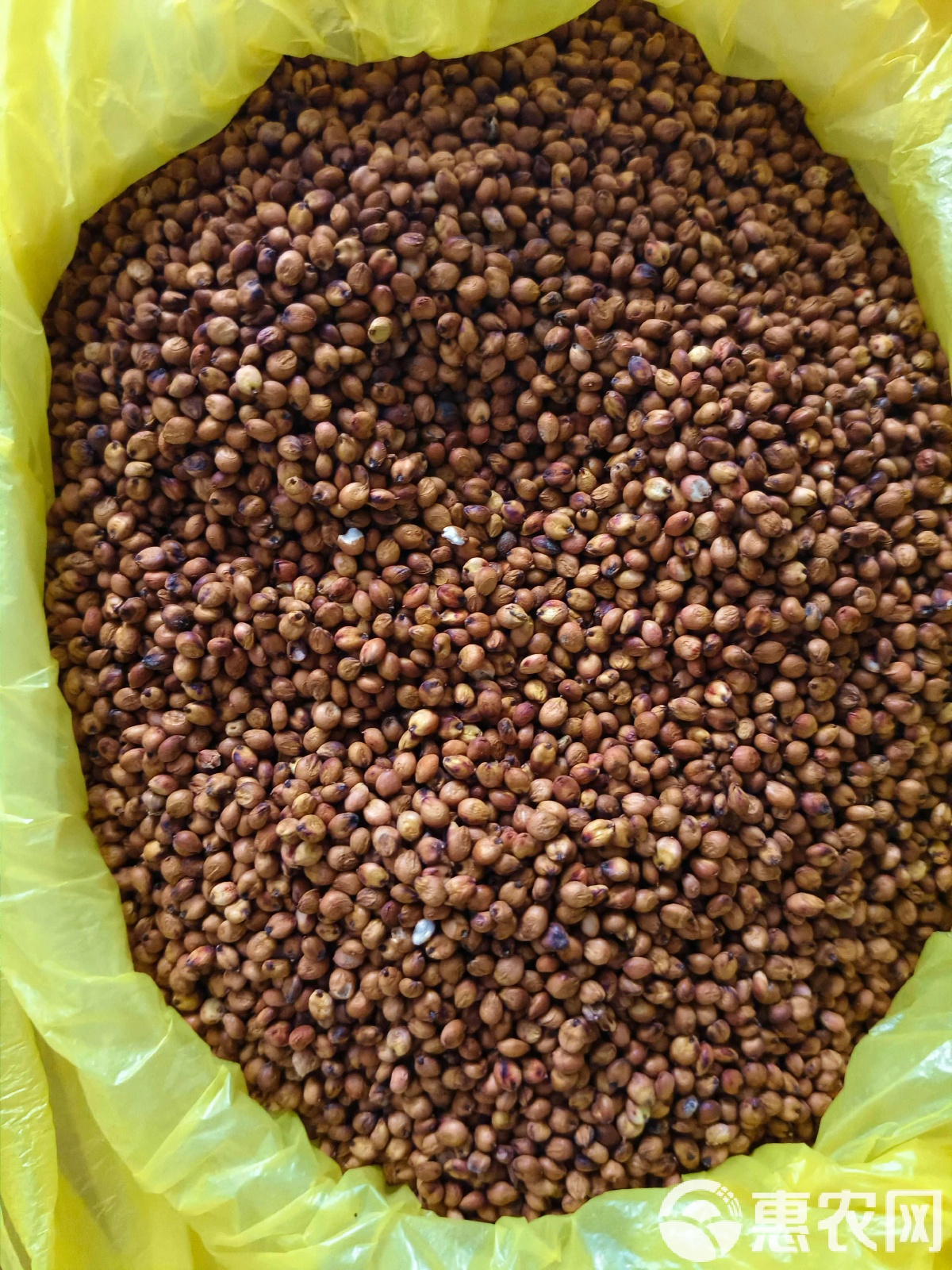 贵州茅台获得发明专利授权：“一种山地有机高粱抗旱防涝增肥作物多样性利用系统及其建立方法”