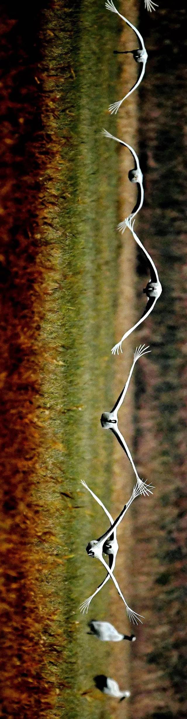 立方风控鸟·晚报（3月13日）