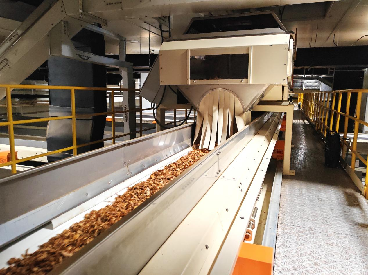 胜蓝股份获得实用新型专利授权：“一种自锁卡扣及FFC连接器母座”