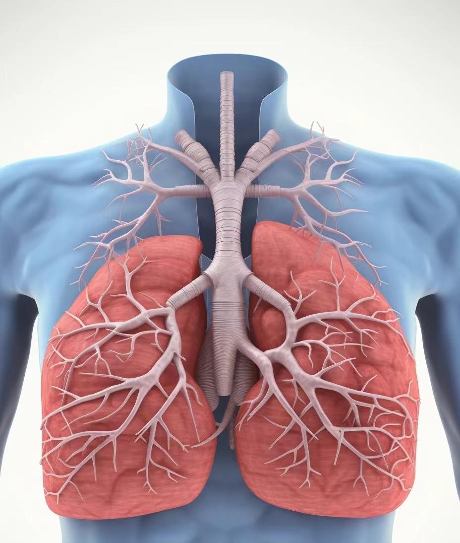 阿里健康首发石药集团抗纤维化药物伊络达® 为间质性肺病患者开辟院外新通道