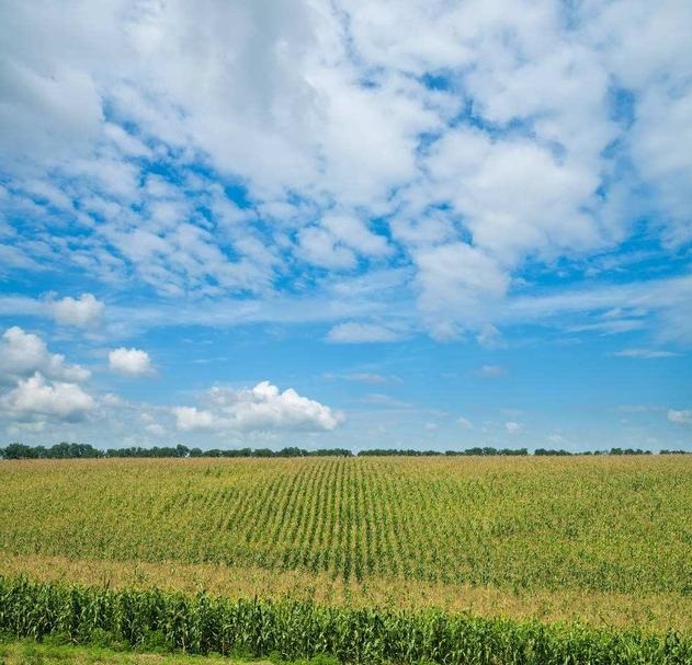 光纤“听诊器”诊断农田土壤水分波动