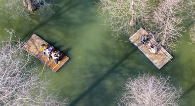 中共中央政治局召开会议 中共中央总书记习近平主持会议