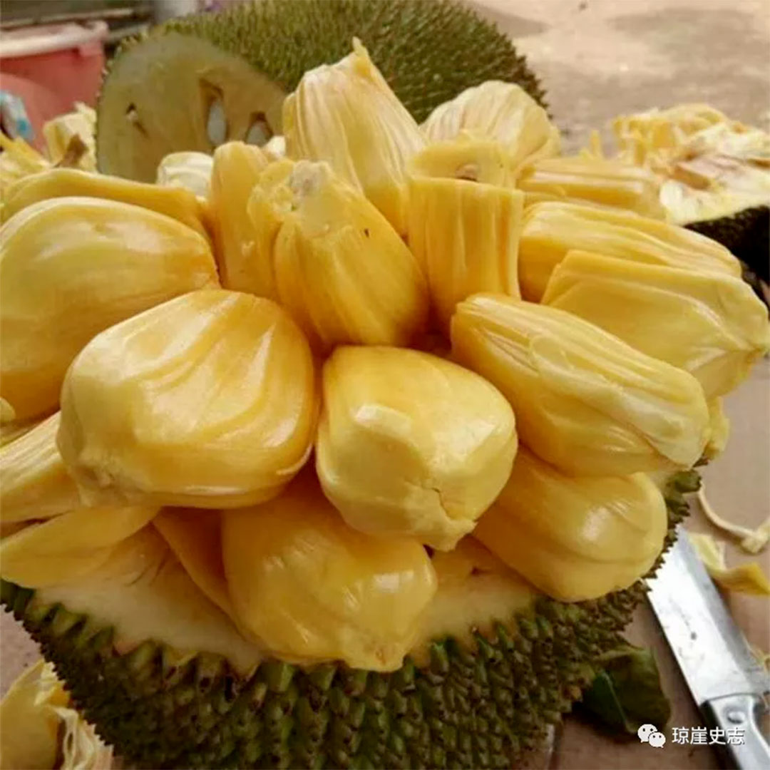 印度下调出口退税税率，农产品及加工食品获豁免