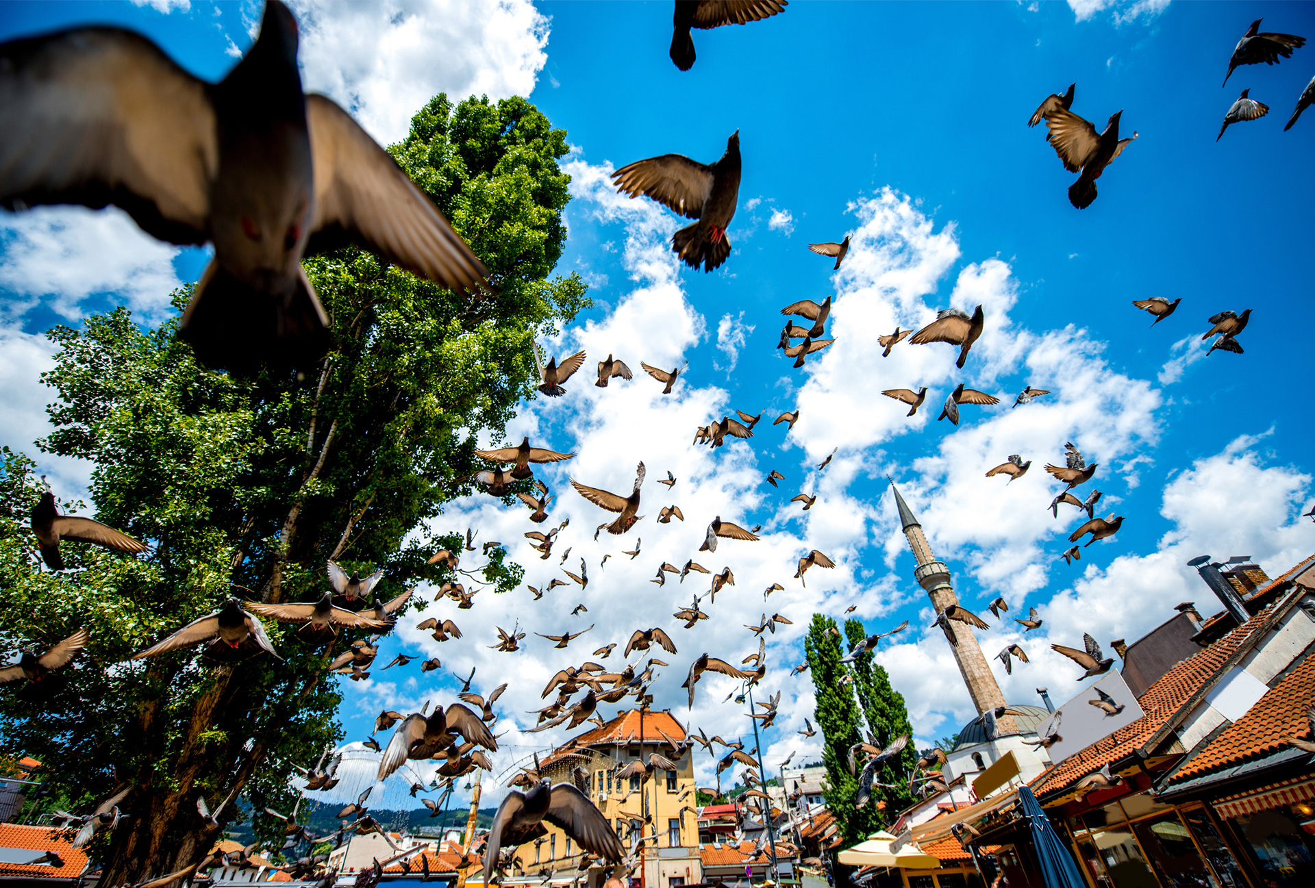 波黑今年1-2月间接税收入增长4.7%