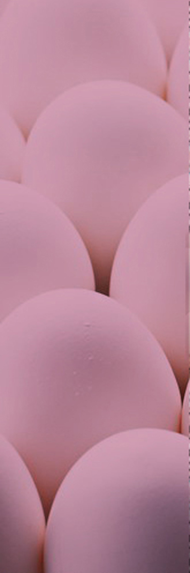 浙江永强获得外观设计专利授权：“鸡蛋椅（FRS51782）”