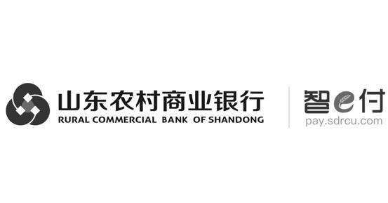 爱尔兰三大银行联合推出即时移动支付系统 Zippay