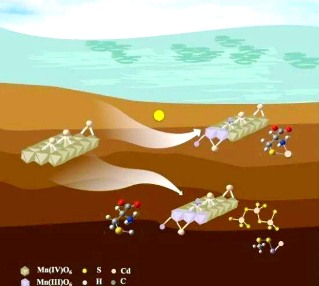 中国石化获得发明专利授权：“用于原位化学氧化修复土壤的反应器及其制备方法和应用”