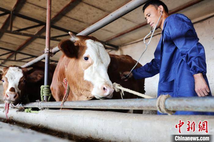 “牛基”沉浮录：穿越牛熊者寥寥 价值为锚者长青