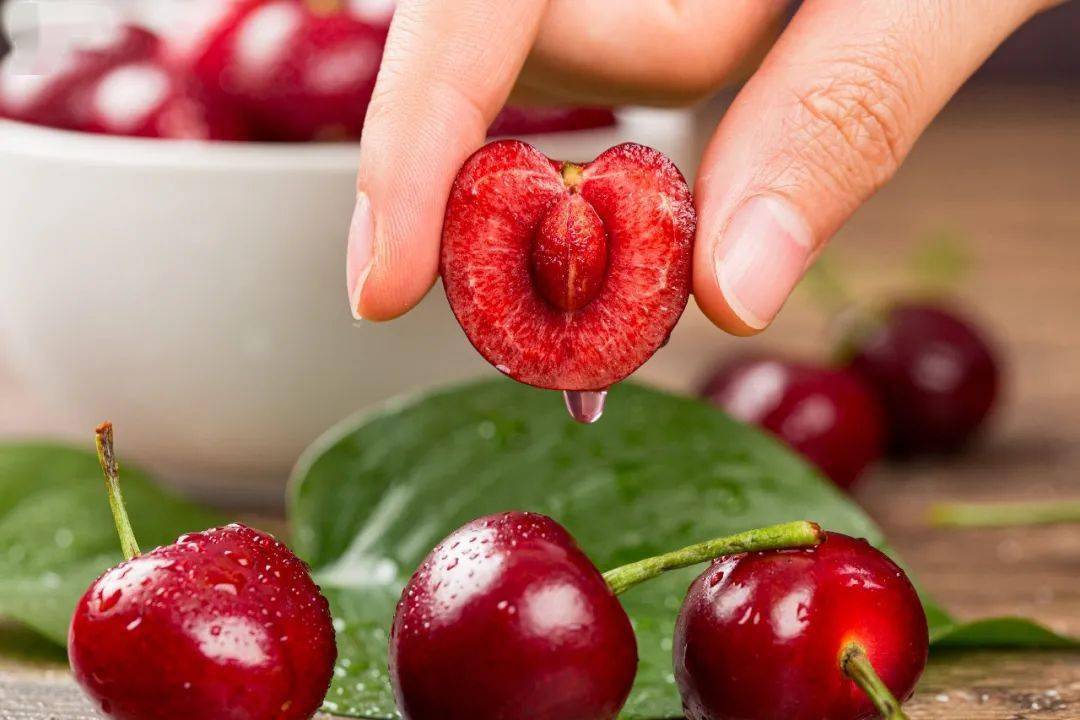 智利自由市场联合会：农产品价格或因燃料上涨最高达50%