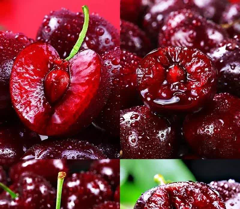 智利自由市场联合会：农产品价格或因燃料上涨最高达50%