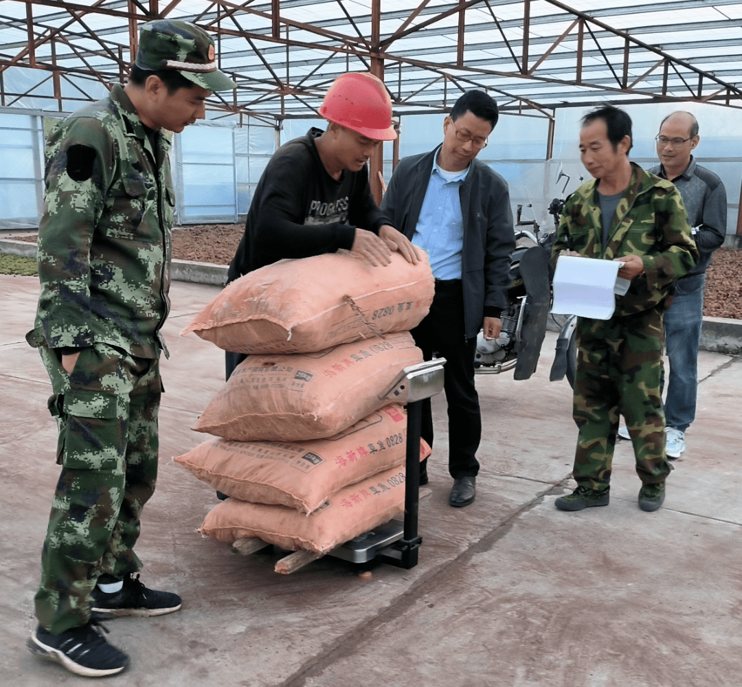 科学圆桌会丨林木育种专家：治理杨絮，有了“治本”的办法