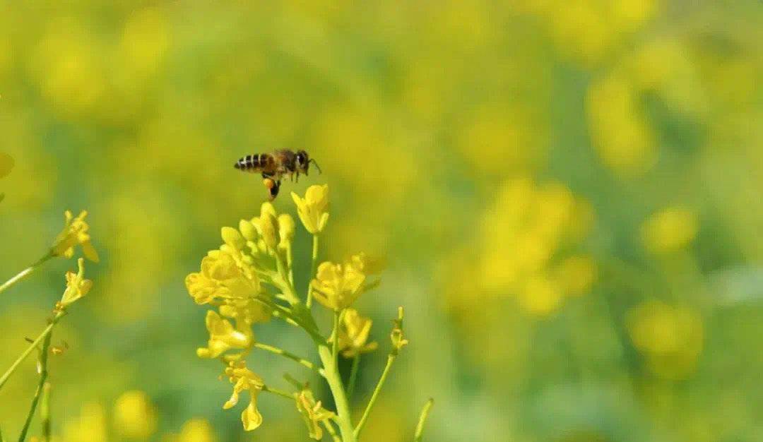 【财经分析】信用债市场春意正浓 多利好支撑行情稳健延续