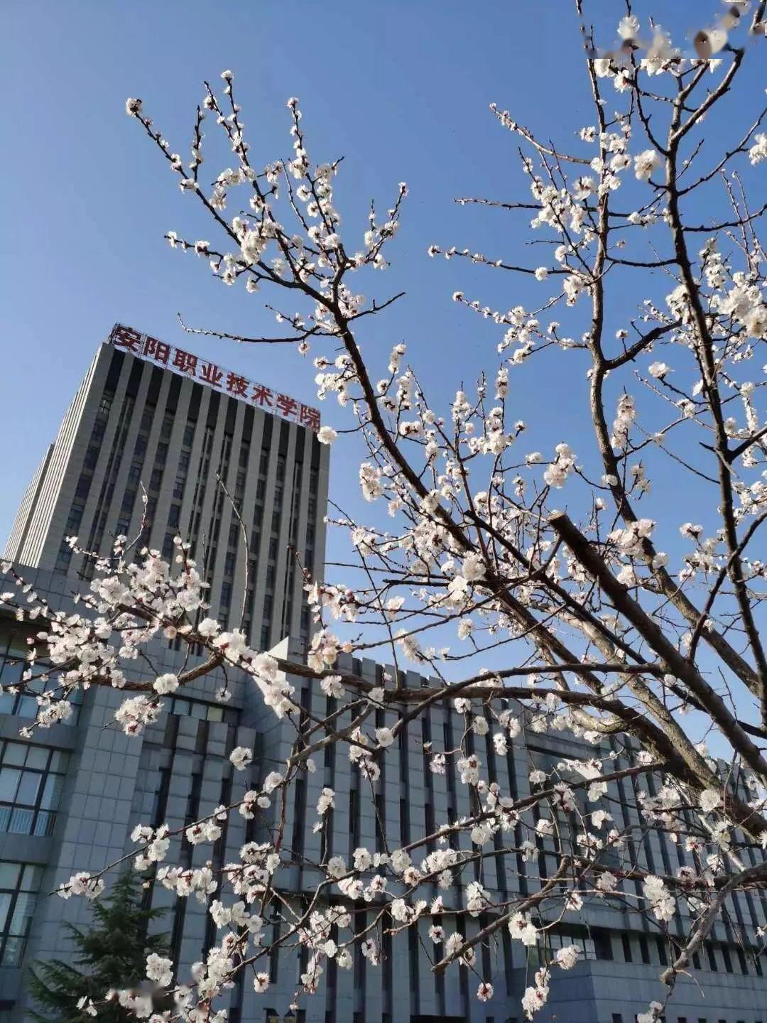 【财经分析】信用债市场春意正浓 多利好支撑行情稳健延续