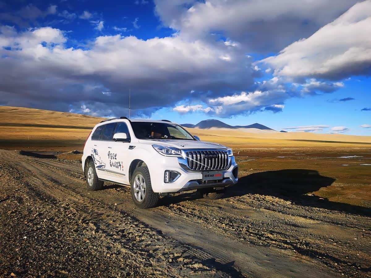 内蒙一机获得外观设计专利授权：“车标（雪狼）”