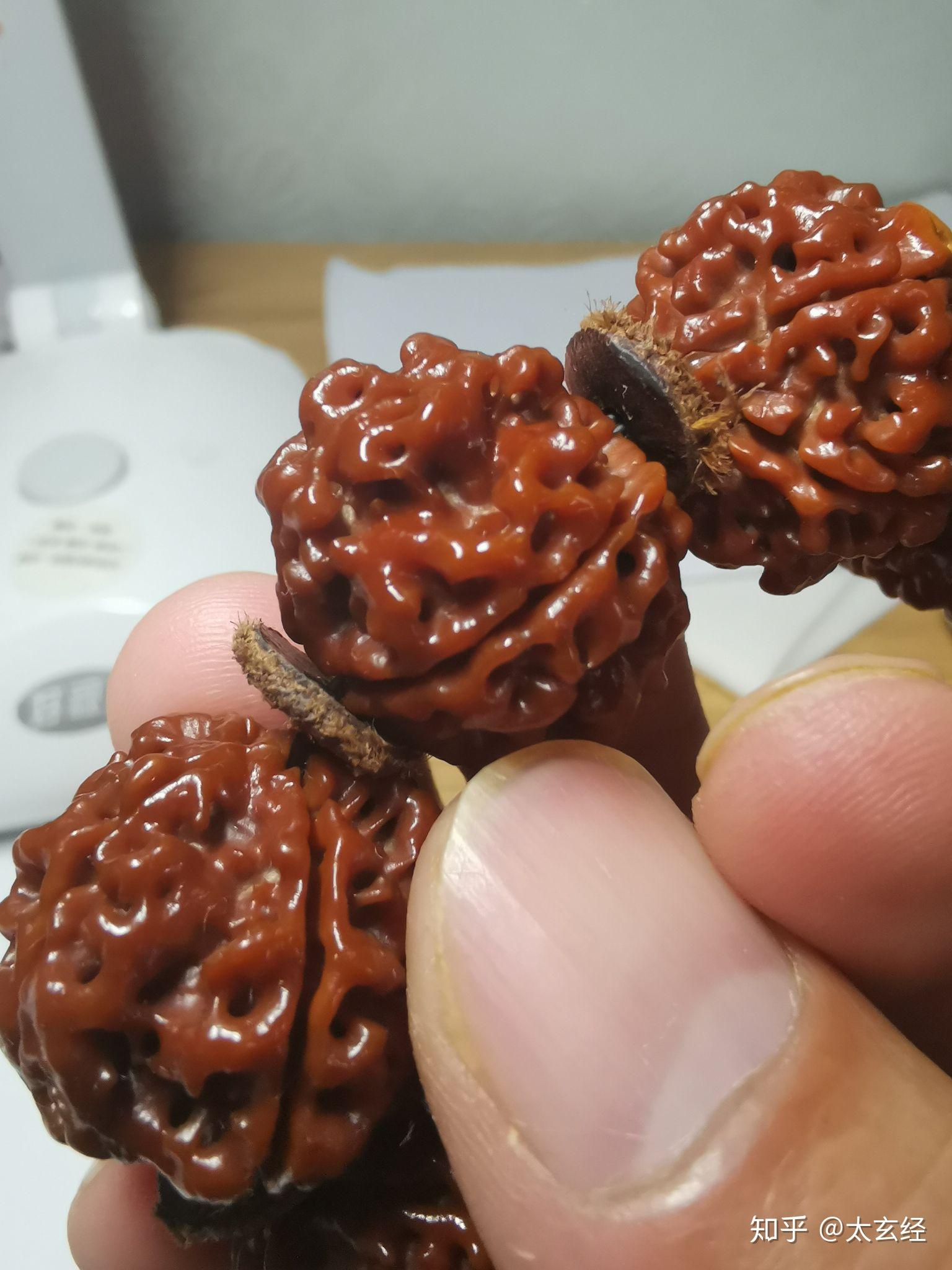 从“六小龙”到“五小凤”：同一根藤上，又一串果