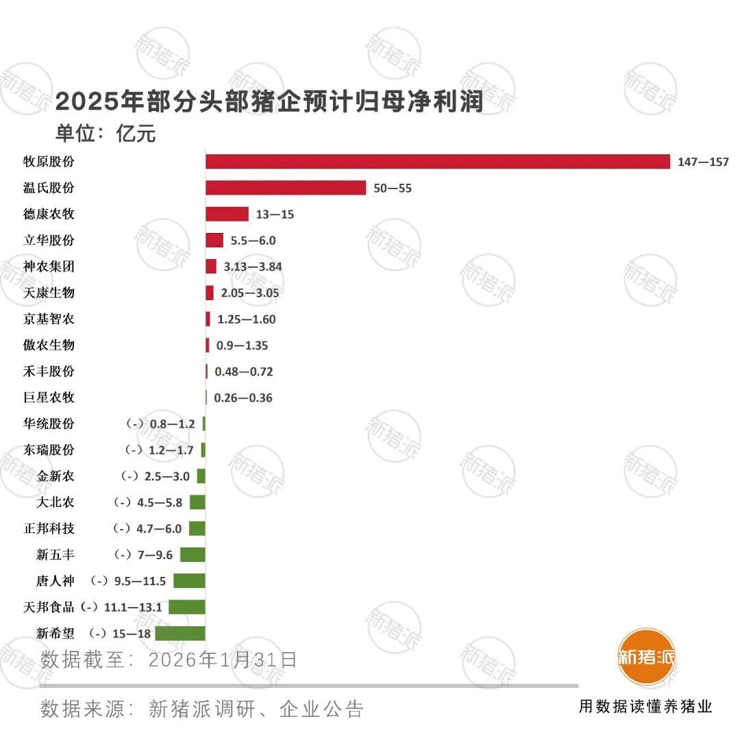 新五丰2025年亏损8.76亿 董事长万其见薪酬24万