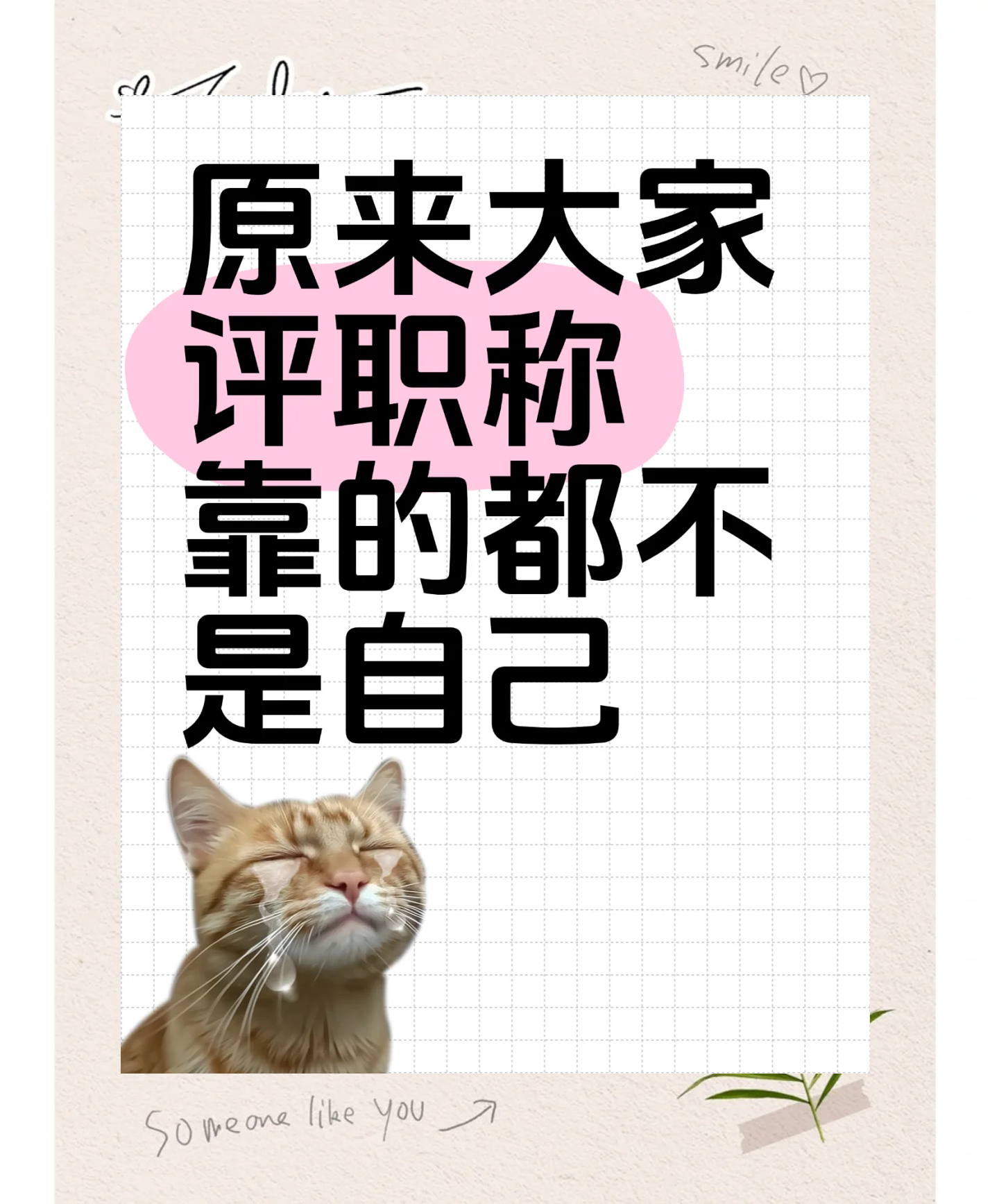 央行加码呵护下债市偏强整理,资金由紧转松激活短端修复 | 机构要评
