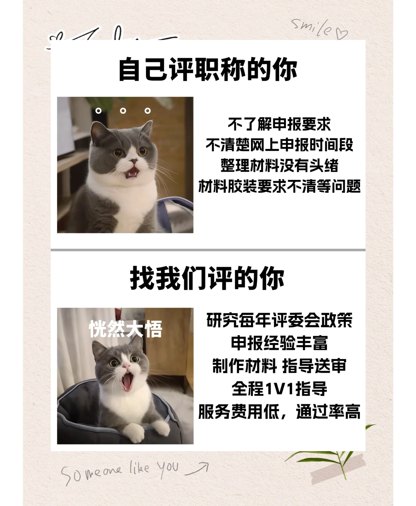 央行加码呵护下债市偏强整理,资金由紧转松激活短端修复 | 机构要评